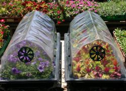 Mini Rumah Hijau Untuk Benih