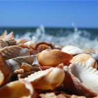 Ресейлік порно Түркиядағы демалыста