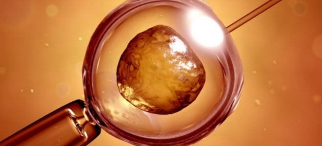 Әдемі үлкен есек балапандары бар порно